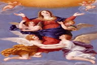 My soul proclaims the greatness of the Lord...: Assumption of the Blessed VirginMary (15.8.2012)