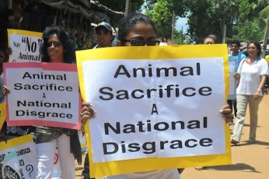 Hindu temple cancels animal sacrifice