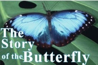The Story of the Butterfly
