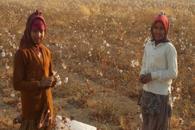 The task of protecting India’s child cotton pickers