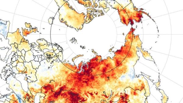 Record Arctic temperature raises global warming concerns
