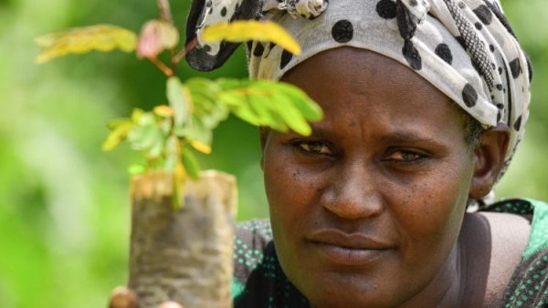 Ethiopia marks World Environment Day aiming to plant 5bn trees