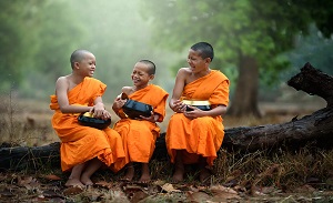 About Buddhist Monks