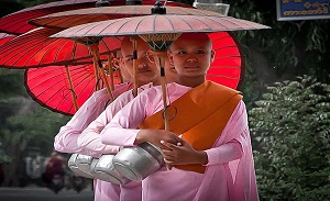 About Buddhist Nuns The Tradition of Bhikkhunis