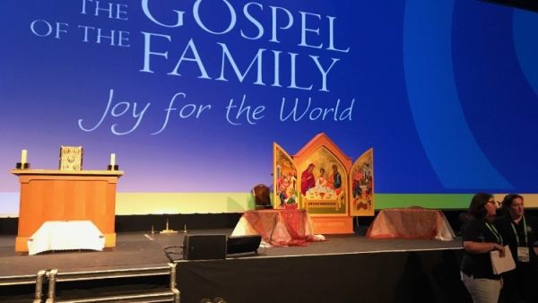 Irish bishops express concern over constitutional amendments on family