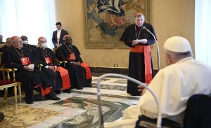 Pope Francis receives the participants in the Plenary Session of the PCPUC