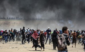 Palestine urges UN protection from Israeli settler attacks