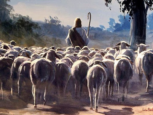 DAILY MEDITATION: “(…) the sheep follow him, because they recognize his voice”