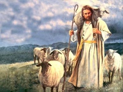 DAILY MEDITATION: “I am the gate for the sheep”