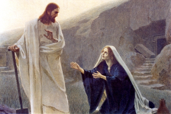 DAILY MEDITATION: ``Mary Magdalene went and announced to the disciples, “I have seen the Lord”``