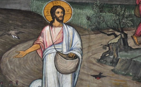 DAILY MEDITATION: ``The sower went out to sow``