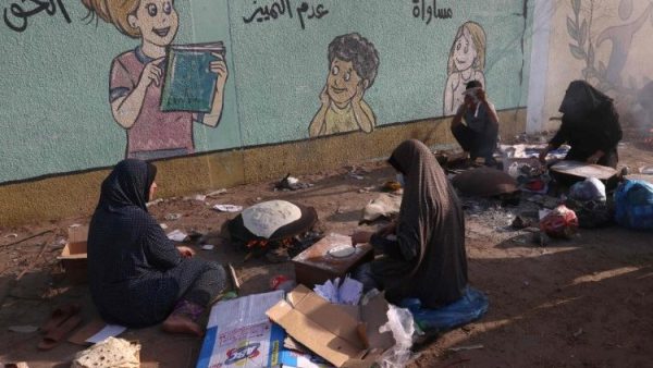 Gaza: UNESCO calls for an immediate halt to strikes against schools