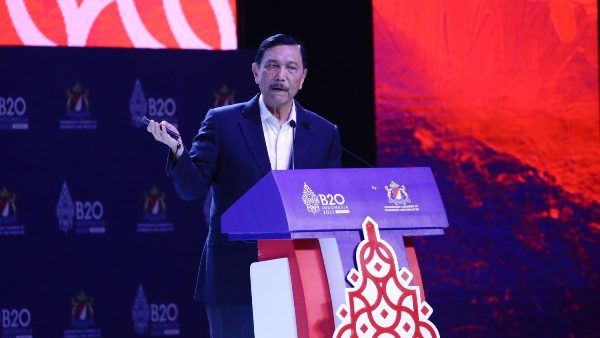 G20 Summit: Indonesian minister stresses importance of peace for development