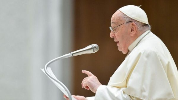 Pope at Audience: Patience offers convincing witness to Christ`s love