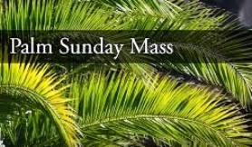 Palm Sunday - English Mass (Live)