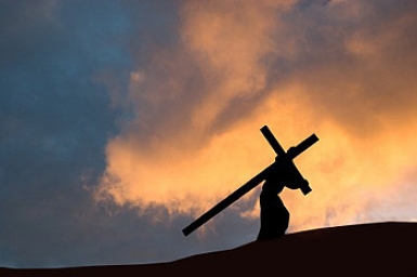 ...take up your cross: Gospel by pictures of Sunday 22nd in Ordinary Time