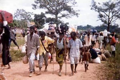 Forced migration: Pastoral Guidelines