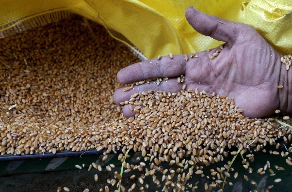 Holy See: Wars and extreme climate events have lethal impact on food systems
