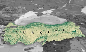 Türkiye: Emergency desk created to coordinate relief efforts