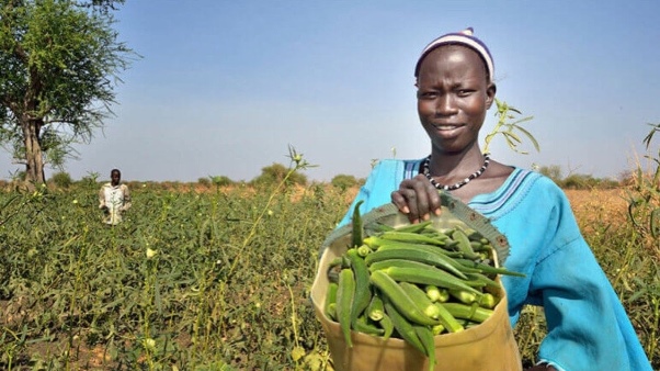The enduring commitment of religious congregations to South Sudan’s recovery