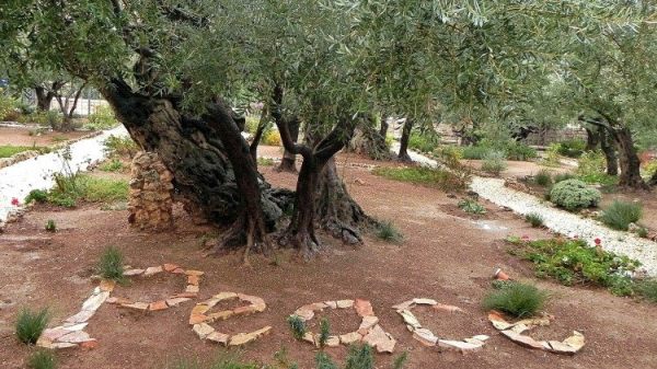 Support hope by giving to Christians in the Holy Land