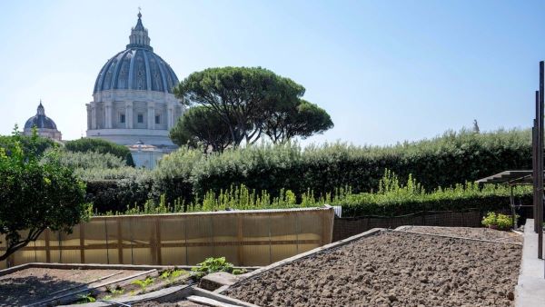The Pope’s garden in the Vatican Gardens becomes 100% organic
