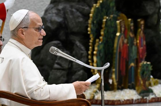 Pope at Audience: Second Vatican Council still guiding star of Church’s journey